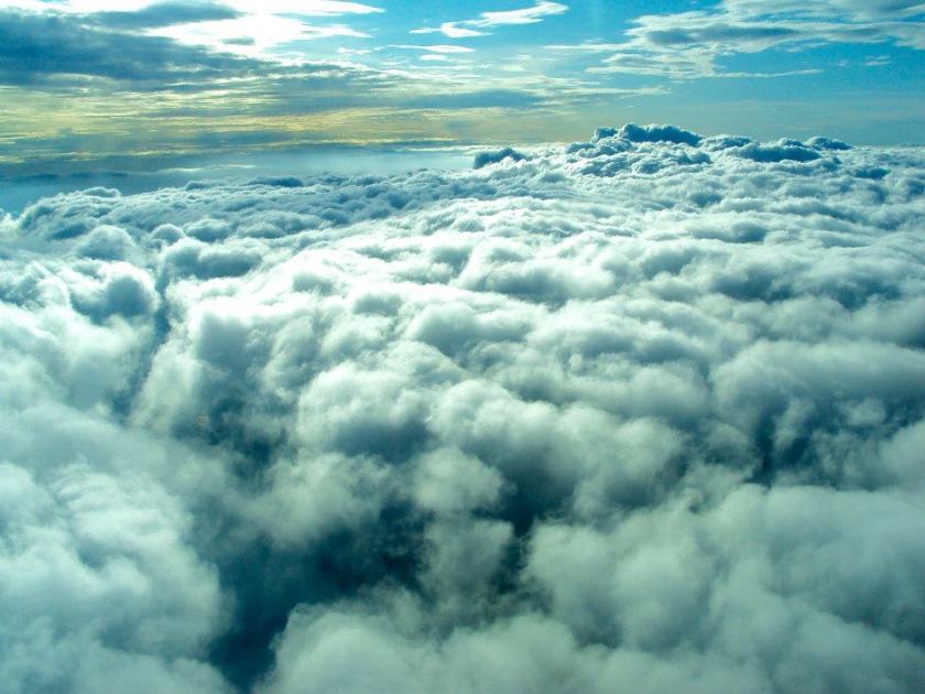 393794_3113591329420_1678237730_n